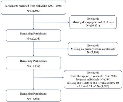 Association between serum carotenoids and hyperuricemia: a cross-sectional study based on NHANES 2001–2006